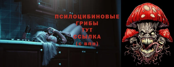 соль ск Алзамай