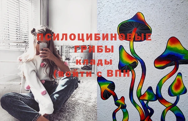 синтетический гашиш Алексин