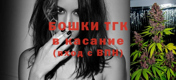 соль ск Алзамай