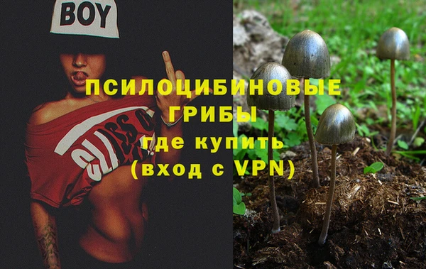 соль курить ск Алексеевка