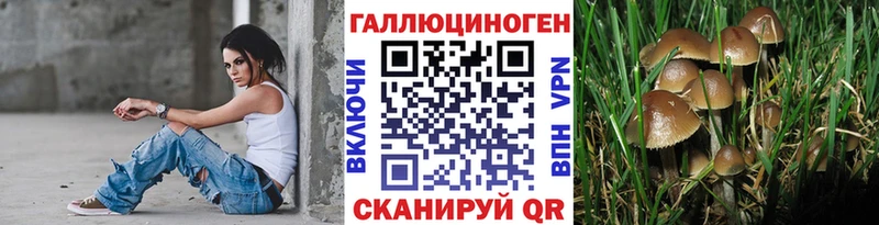 купить наркотики цена  Шатура  shop формула  Галлюциногенные грибы ЛСД 